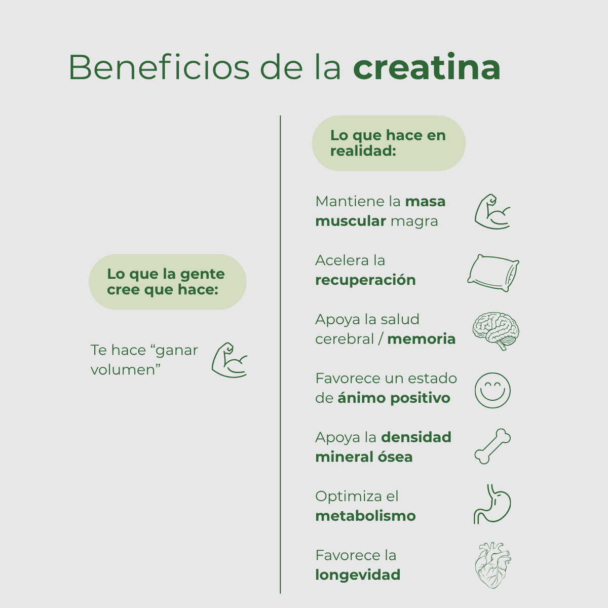 Creatina HABITS